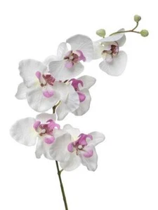 6 Stems White/Pink Phalaenopsis Orchids Artificial Silk Flowers 76cm Tall - Picture 1 of 1