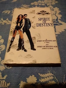 Cassette Single Sly And Lovechild 1992 Spirit Of Destiny CBE 767C - Picture 1 of 8