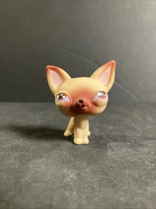 VTG LITTLEST PET SHOP LPS Chihuahua #1 2004 HTF Tan/Brown Authentic Dog Puppy - Picture 1 of 9