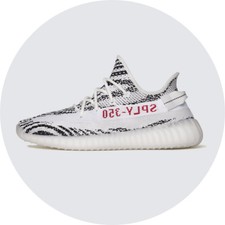 Collectible Sneakers