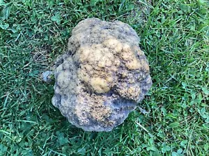 Cristales de geoda Indiana de 13 lb + minerales, fósil intacto joyería lapidario - Imagen 1 de 4