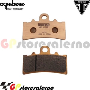 43018601 COPPIA PASTIGLIE SINTERIZZATE OGNIBENE PER TRIUMPH 400 SCRAMBLER X 2024 - Imagen 1 de 1
