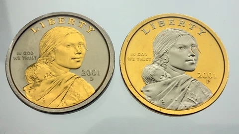 2001 Native American Dollar Platinum Gold Highlighted Sacagawea Dollar AA377 Cover