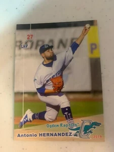Antonio Hernandez 2021 Ogden Raptors Team Card - Picture 1 of 1