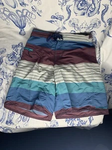 Patagonia Board Shorts Mens Size 30 Multicolor Swim Trunks Beach Zipper Pocket - Picture 1 of 10