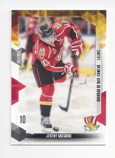 2014-15 Baie-Comeau Drakkar (QMJHL) Jeremy Gregoire (Tucson Roadrunners)