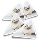 4X Triangle Stickers - Sacred Birman Birma Cat Kitten #15565