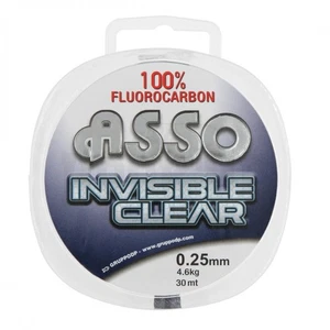 Asso Fluorocarbone Invisible Clear 100M - Picture 1 of 1