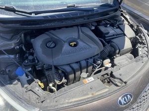 Driver Left Axle Shaft Front 2.0L Fits 14-18 FORTE 26309190 - Foto 1 di 7