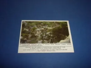 DISNEYLAND card #20 Donruss 1965 puzzle back HIGH GRADE Walt Disney Productions - Picture 1 of 4