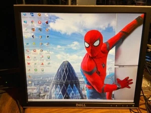 Dell 1708FPf 17" LCD Flat Screen VGA DVI USB Computer Monitor Black - No Stand - Picture 1 of 10