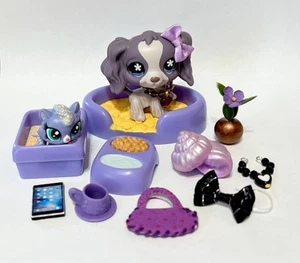 Littlest Pet Shop #672 Spaniel Dog - Picture 1 of 6