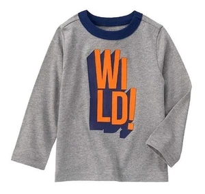NEW Crazy 8 Baby Toddler Boys 5T Wild! Gray Long Sleeve Shirt - Picture 1 of 1