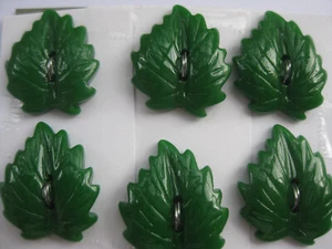 23mm Med Sweet Glossy Etched Bottle Green Leaves Craft Sewing Buttons Set 6 - Picture 1 of 6
