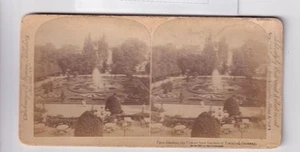 STEREOSKOP DIA Palmengärten FRANKFORT DEUTSCHLAND 1894 - Bild 1 von 2