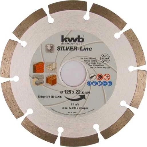 EINHELL Disco per Scanalatrice diametro 125x22,2 mm 796570 - Immagine 1 di 1