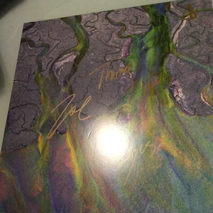 SIGNED Alt-J - An Awesome Wave  vinyl autographed - Picture 1 of 6