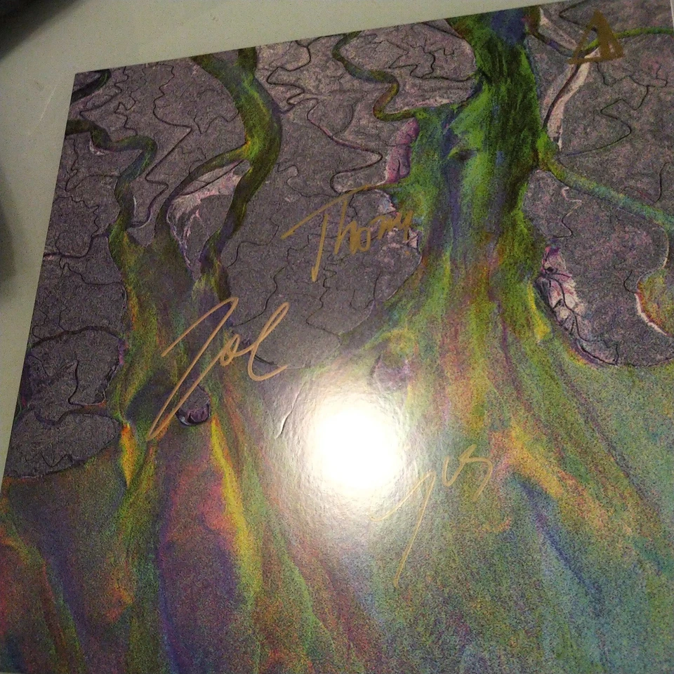 SIGNED Alt-J - An Awesome Wave  vinyl autographed - Image 1 of 4