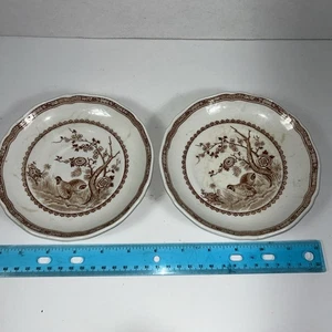 Set of 2 Furnivals 1913 Quail Brown Saucers  - 6 In.  - England - Picture 1 of 9