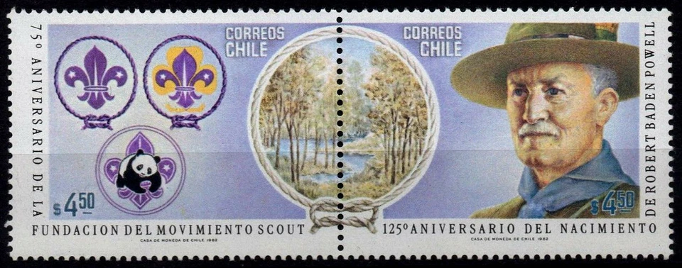 CHILE, WWF, SCOUT BADEN POWELL FAUNA VIDA SILVESTRE, ESTAMPILLAS MNH Sc #623, MICHEL #986-7 Foto 1 de 1