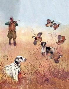 Hunter, Dogs Quail by Lynn Bogue Hunt - Picture 1 of 1