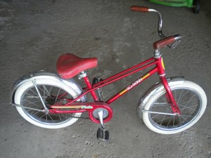 schwinn pixie