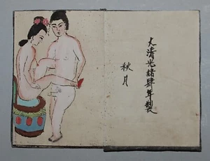 Album with erotic images printed and hand-colored on paper, Guangxu, China - Picture 1 of 10