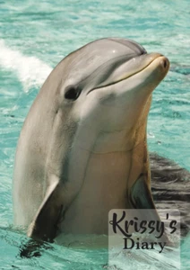 2025 diary personalised with your name cute Dolphin A5 - Picture 1 of 5