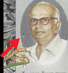 Dr. Venkata chalam agriculture scientist Pearl Variety India error mnh - Picture 1 of 2