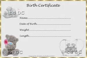 ME2U BEAR STYLE BIRTH CERTIFICATE/CERTIFICATES REBORN FAKE BABY approx 7x5" - Picture 1 of 1