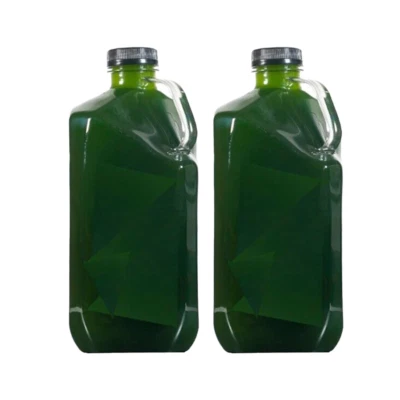 PHYTO FOR SALE LIVE Phytoplankton Tetra - 1/2 Gal! - Fast Free Shipping! - Premium Phyto!