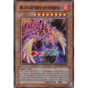 Yugioh Card "Phoenixian Cluster Amaryllis" RGBT-KR006 Korean Ver Common - Picture 1 of 1