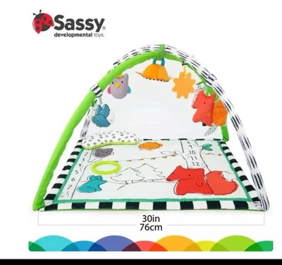 Sassy Baby Gone Campin' Woodland Sensory Baby Play Gym con toldo ~ NUEVO ENVÍO RÁPIDO Foto 1 de 4