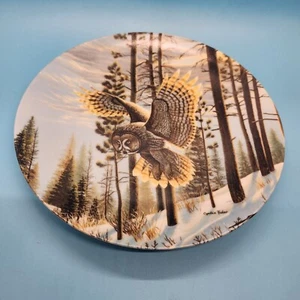 Bradford Exchange - Owl Collector Plates -”Evening Glimmer”- Cynthie Fisher - Picture 1 of 3