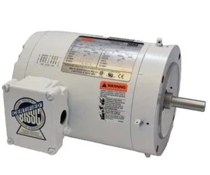 1TTB1 DAYTON 1/3 HP, 1765 RPM, 230/460V Washdown Motor 56C Fr, 1TTB1BH - Picture 1 of 4