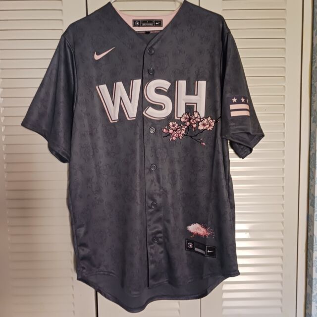 Nike Men's Washington Nationals City Connect Replica Jersey Small / Dark Grey 03 / Washington Nationals