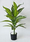 Artificial White Iceton Croton Plant 26 Leaves With Pot