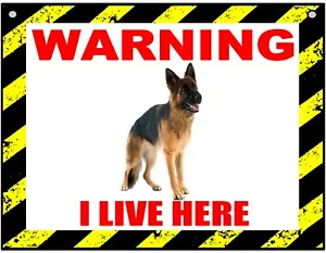 Warning I Live Here - German Shepherd - Dog - Metal Sign For Indoor or Outdoor - Picture 1 of 1