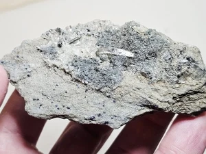 Micro Anatase en cristal de cuarzo druso de Vassijaure, Kiruna, Suecia - Imagen 1 de 13