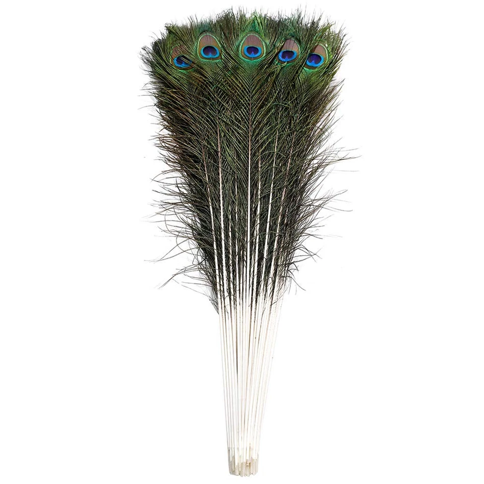 Ballinger 20pcs Natural Long Peacock Feathers 35-40 inch for DIY 35-40inch