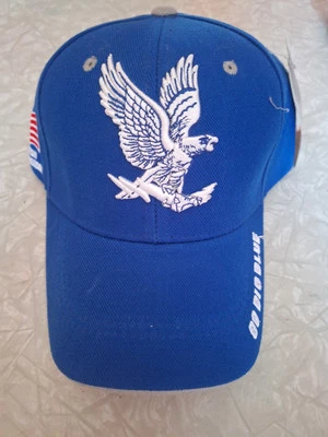 Airforce Hat - Image 1 of 3