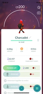 Pokemon Trade - #935 Charcadet!! Sicher, günstig & schnell!! - Bild 1 von 1