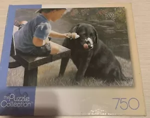 Kevin Daniels ICE CREAM FOR TWO 750 Piece Jigsaw Puzzle Best Friends Boy/Dog NEW - Picture 1 of 7