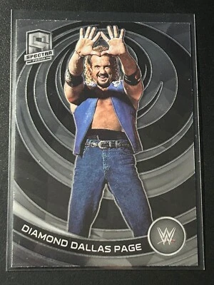 2023 WWE Chronicles Spectra #382 Diamond Dallas Page Base Card - Image 1 of 2