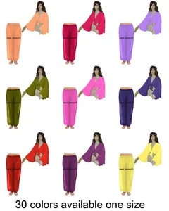 Chiffon Harem Pant + Chiffon Ruffle Top Set Belly Dance Women Wear Costumes C29 - Picture 1 of 35