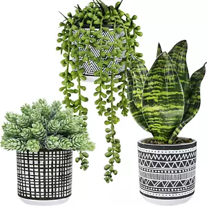 Winlyn 3 Pcs Small Potted Plants Artificial Succulents Hanging Plants and Faux - Picture 1 of 11