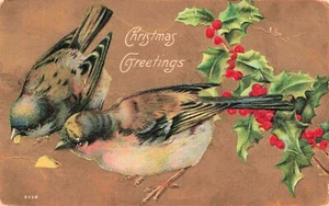 Birds and Holly Antique Christmas PC Posted 1908 Lima Ohio - Picture 1 of 2