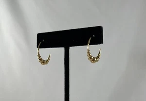 Premier Designs Jewelry "Playful" Gold Plated Hoop Earrings Costume - Picture 1 of 5