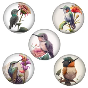 JUEGO DE 5 imanes de colibrí acuarela impresión artística 1,25" regalo para amantes de los pájaros - Imagen 1 de 1