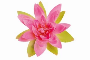 Grain Decorum Motorcycle Scooter Bicycle Tucano Urbano 345box Carve Lotus Pink - Picture 1 of 1